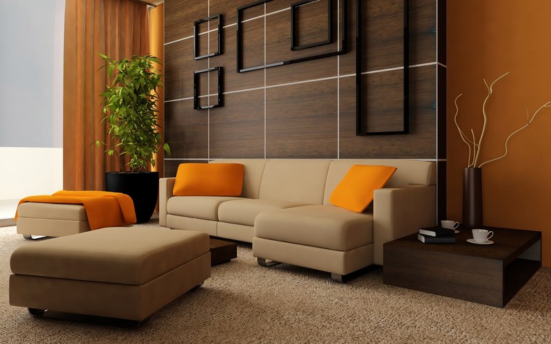 living rooms, photography, couch, pillow, house, plants