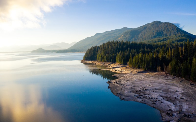 forest, nature, landscape, lake, water, reflection, mountains