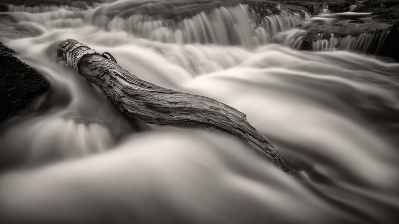 nature, river, stream, monochrome, log, long exposure, water, motion blur