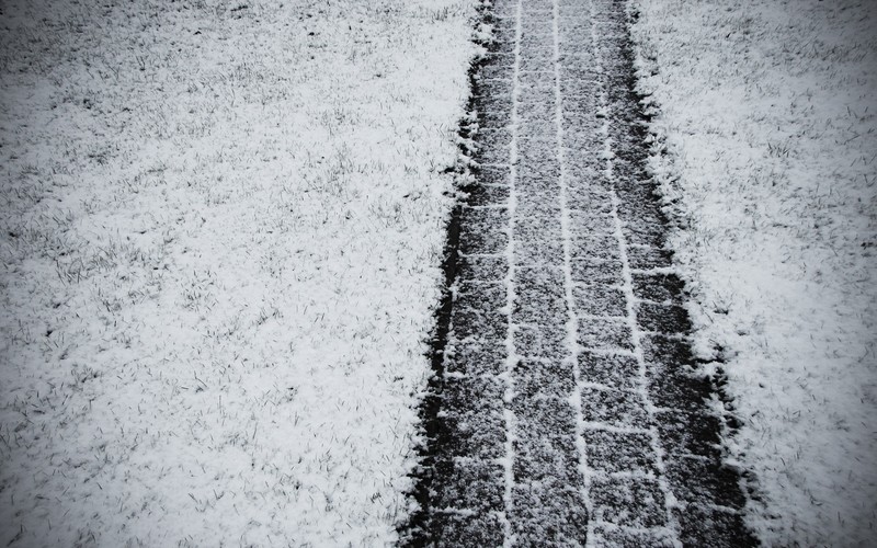 tracks, snow, grass, winter, tire tracks
