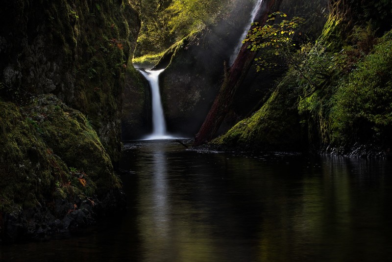 nature, river, stream, waterfall, moss, log, calm, sun rays, landscape