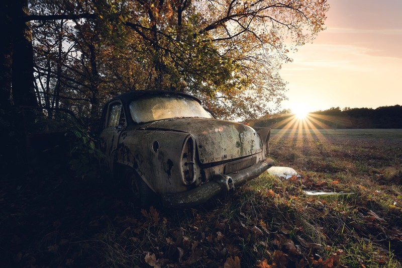 car, wreck, vehicle, trees, sunlight