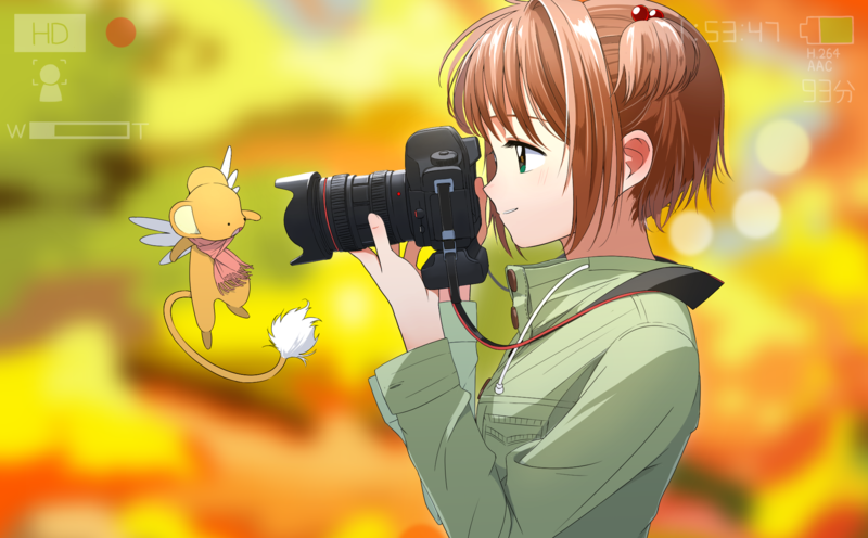 Card Captor Sakura, anime girls, Kinomoto Sakura, Kerberos (Cardcaptor Sakura)