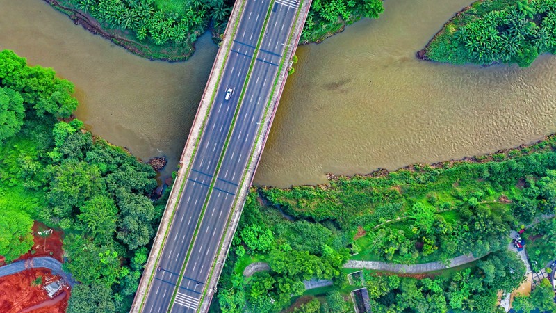 aerial view, highway, road, trees, car, bridge, river, forest, palm trees, nature, landscape, traffic