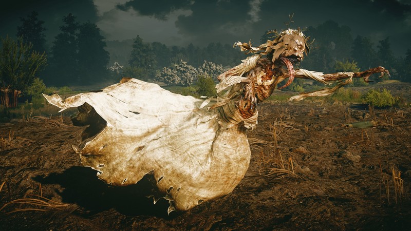 screen shot, The Witcher, The Witcher 3: Wild Hunt, noonwraith
