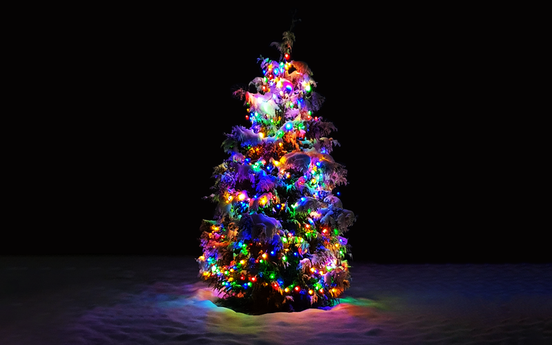 Christmas Tree, Christmas, snow, colorful, holiday