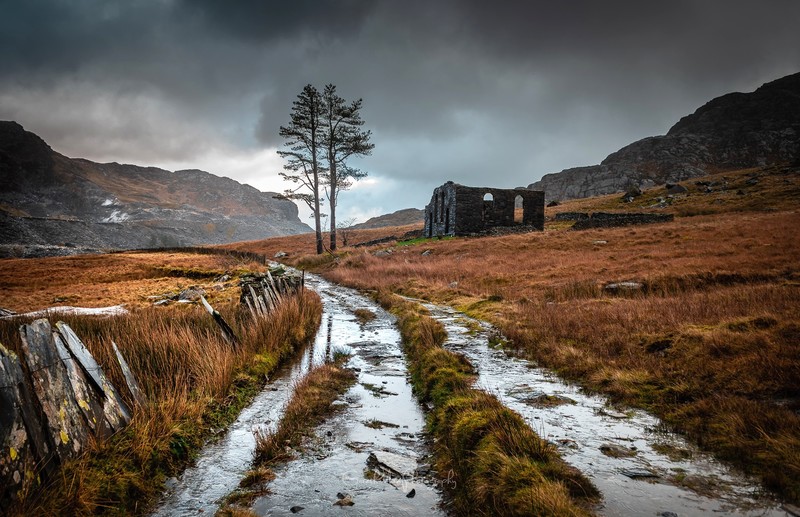 nature, landscape, fall, ruin, overcast