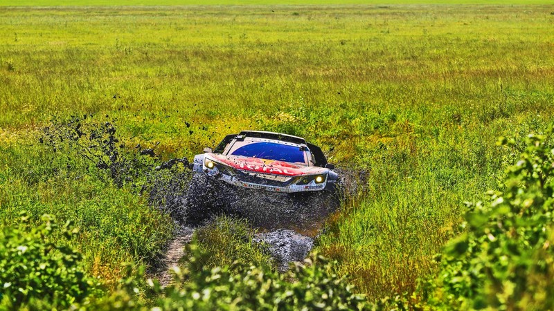 Rally, mud, Peugeot, vehicle, car, offroad, swamp