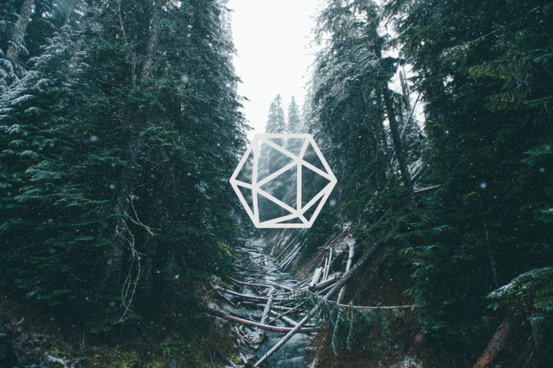 nature, snow, trees, pine trees, 3D Abstract, blurred