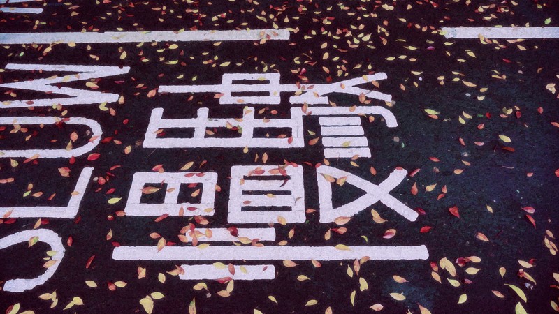 edit, kanji, traffic signs, leaves, pavements, road, fall