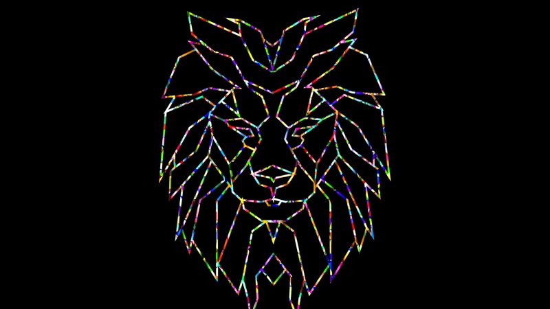 polygon, lion, colorful, black, 4k