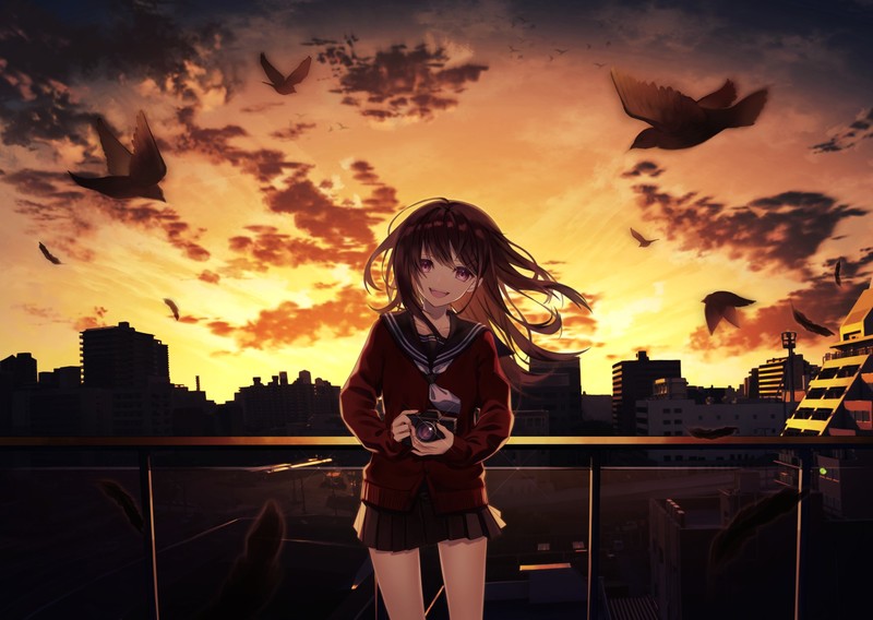 anime, anime girls, sky, cityscape, camera, miniskirt, birds, sunlight