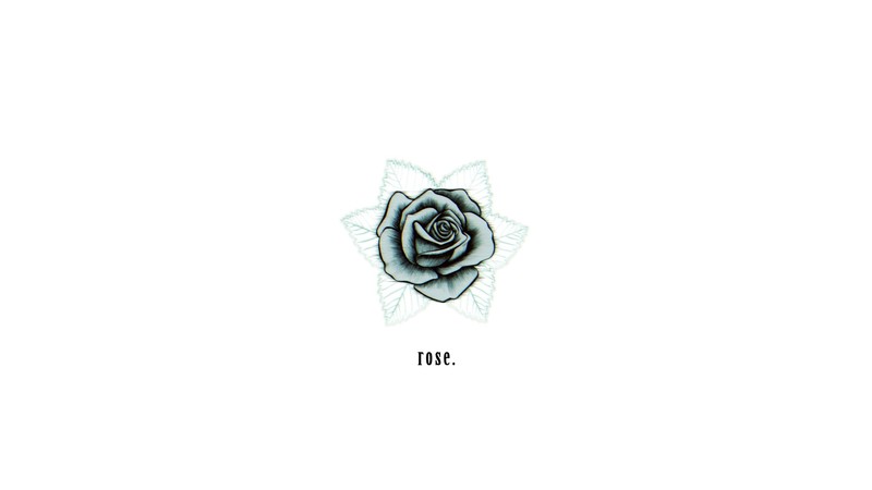 rose, simple background, white background, Photoshop, simple