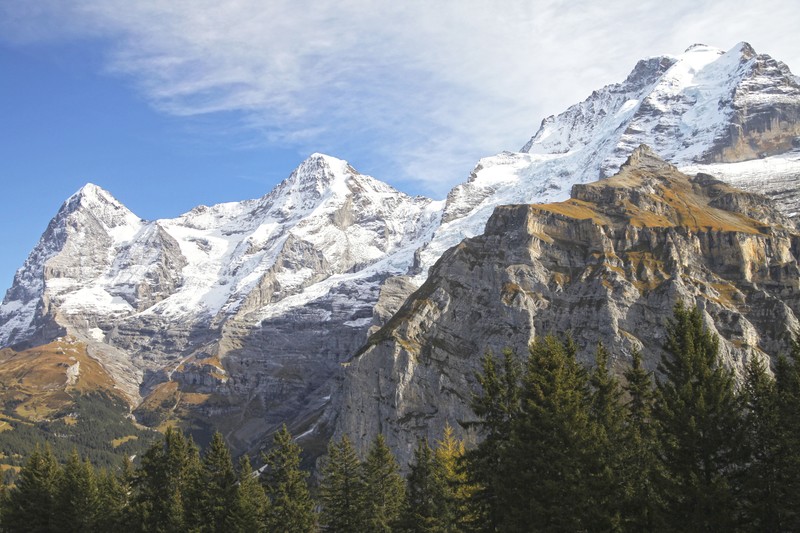 mountains, pine trees, snow, clear sky, Jungfrau, Switzerland