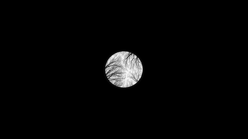 circle, black background, simple background, Photoshop, trees