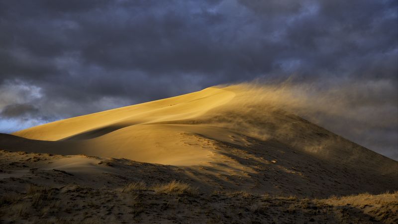 desert, dune, sand, wind, 4k