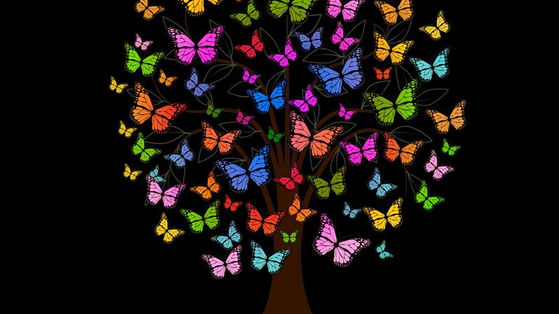 butterfly, tree, patterns, colorful, 4k