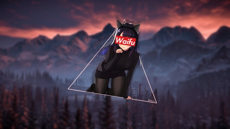 anime girls, neko ears, pantyhose, supreme, cat girl, anime, picture-in-picture