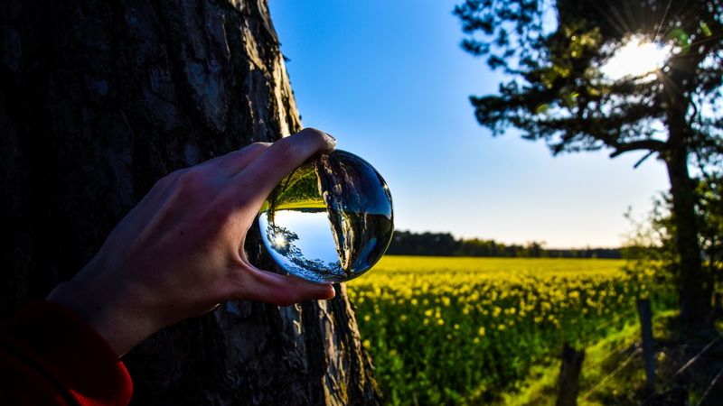 ball, reflection, hand, 4k