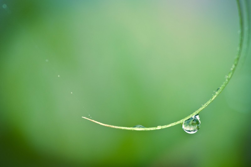 water drops, blurred, green, macro