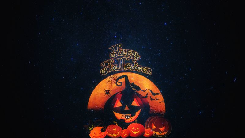 halloween, pumpkin, autumn, cat, holiday, 4k
