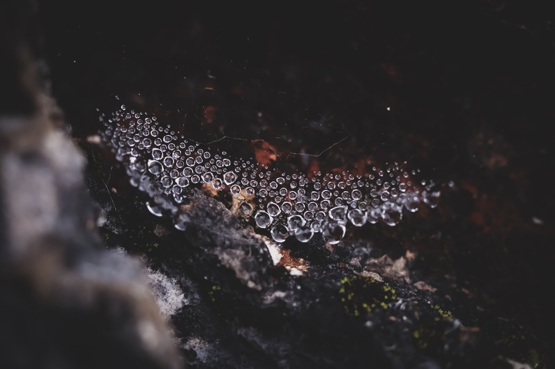 bokeh, water, spiderwebs, rocks, nature, water drops, dew