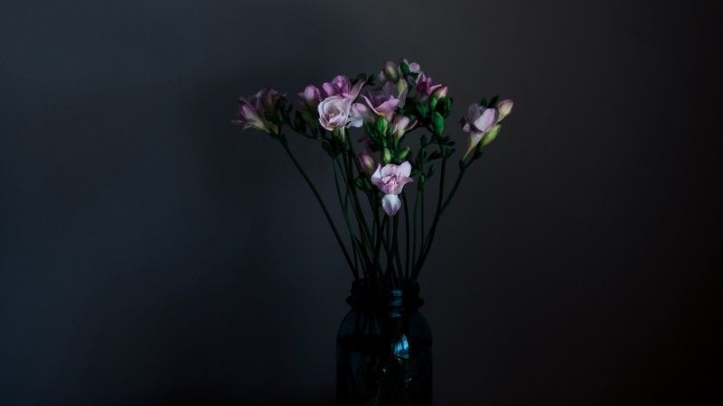 flowers, vase, bouquet, dark