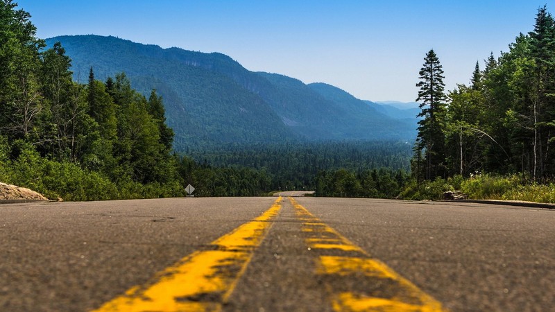 road, forest, mountains, asphalt, landscape