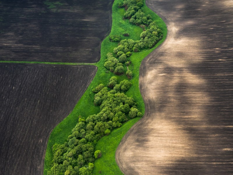 nature, landscape, aerial view, drone photo, Stas Bartnikas, field, trees, forest, grass