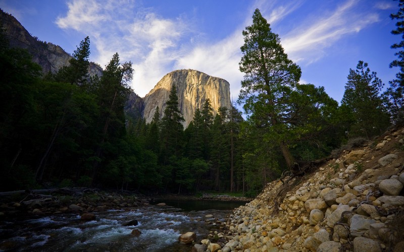 El Capitan, forest, Yosemite National Park, river, trees, USA