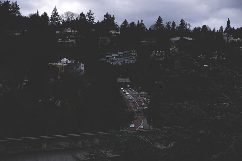 forest, road, dark, town, traffic