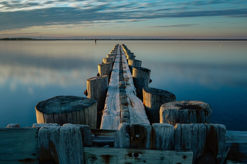wood, water, sky, nature