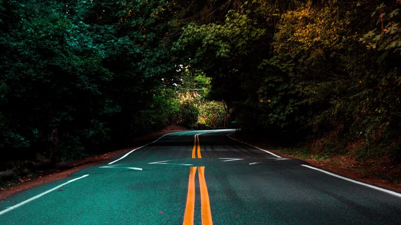 road, marking, turn, trees, asphalt, 4k