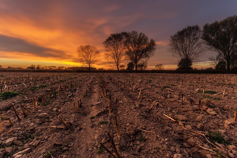 field, sky, landscape, sunlight, fall, farm
