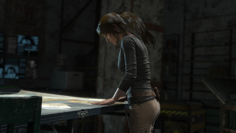 Rise of the Tomb Raider, Lara Croft, side view, brunette, brown eyes, looking into the distance, profile