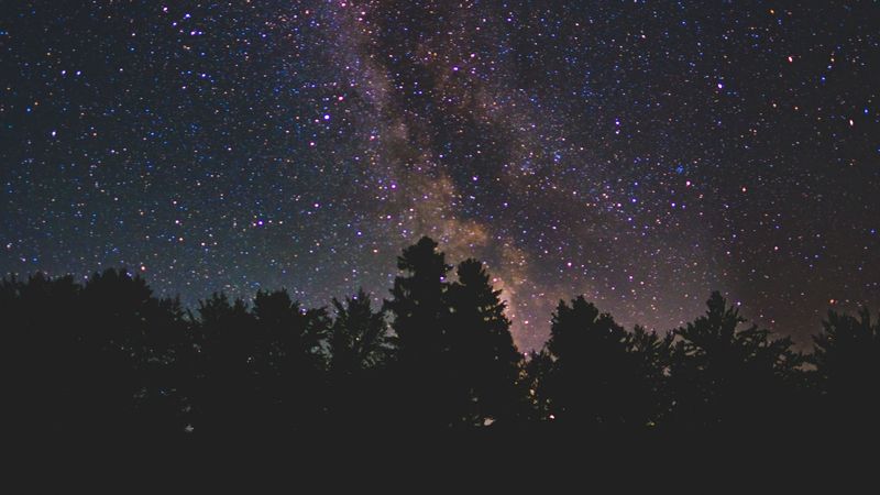 starry sky, milky way, trees, stars, night, shine, dark, 4k