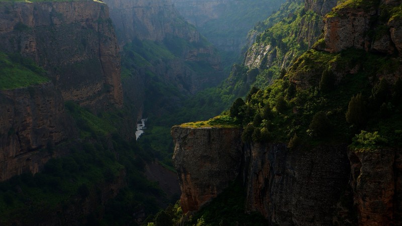 photography, nature, forest, plants, cliff, valley, landscape, panorama, river