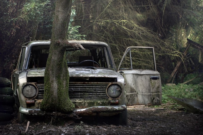 car, vehicle, wreck, VAZ 2101, trees, old