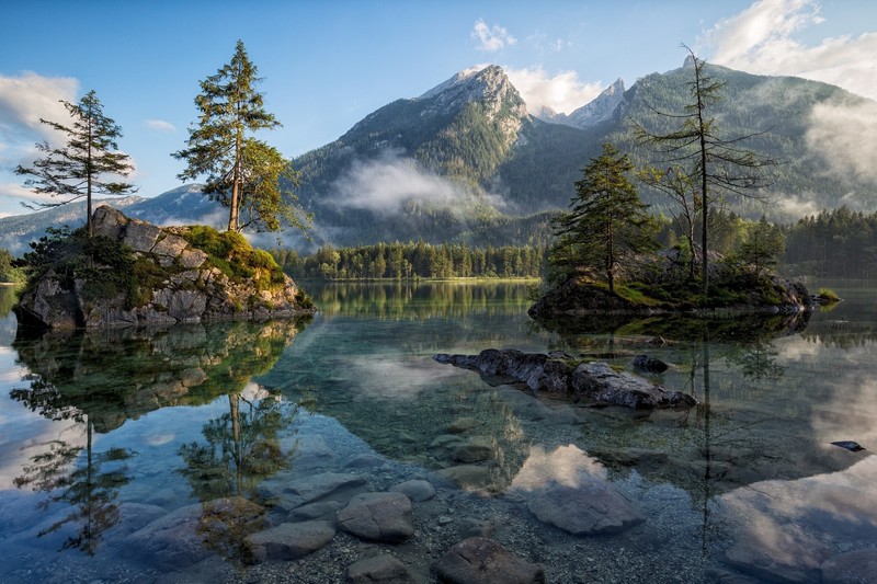 water, pine trees, lake, landscape, sky, nature