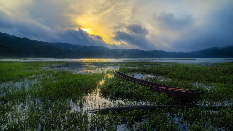 nature, sky, water, sunlight, lake, log, marsh, clouds, boat, calm