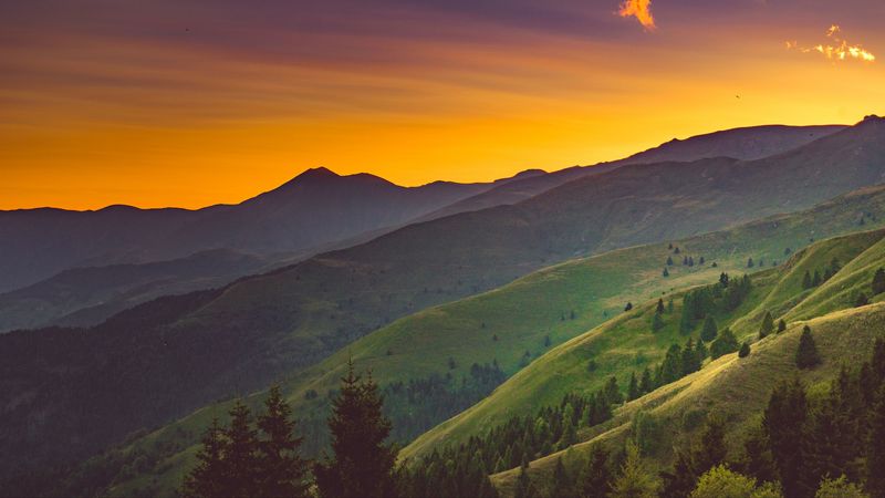 hill, trees, grass, sunset, 4k