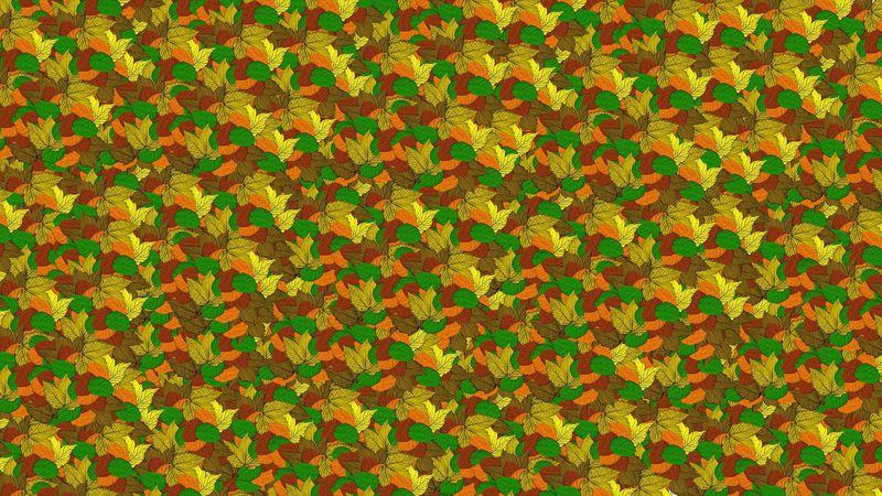 leaves, autumn, patterns, texture, 4k