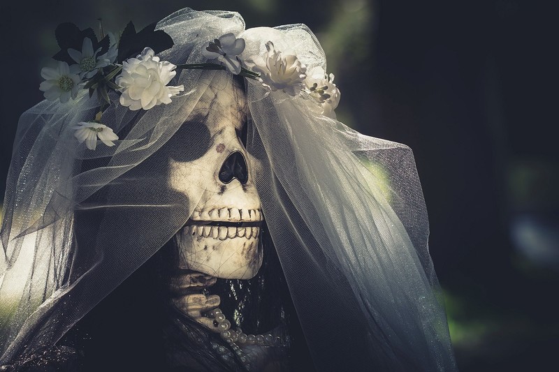 skull, flowers, bones, brides
