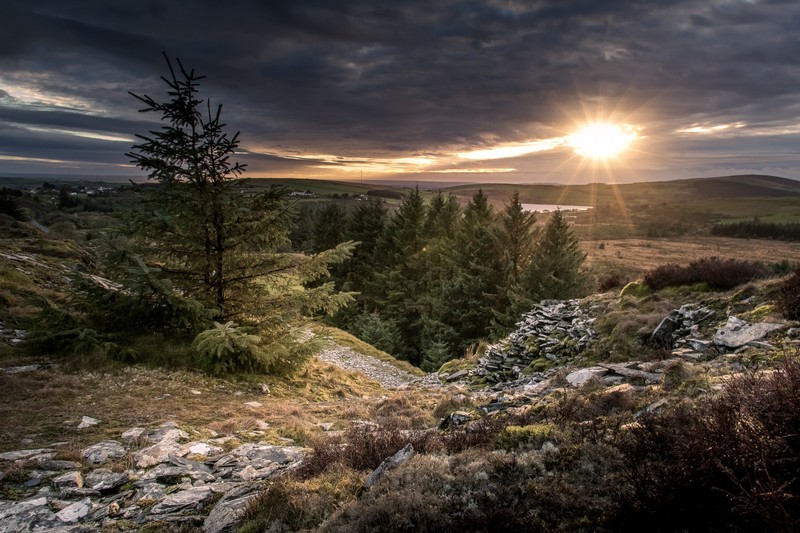 landscape, dark, sky, sunlight, nature, trees