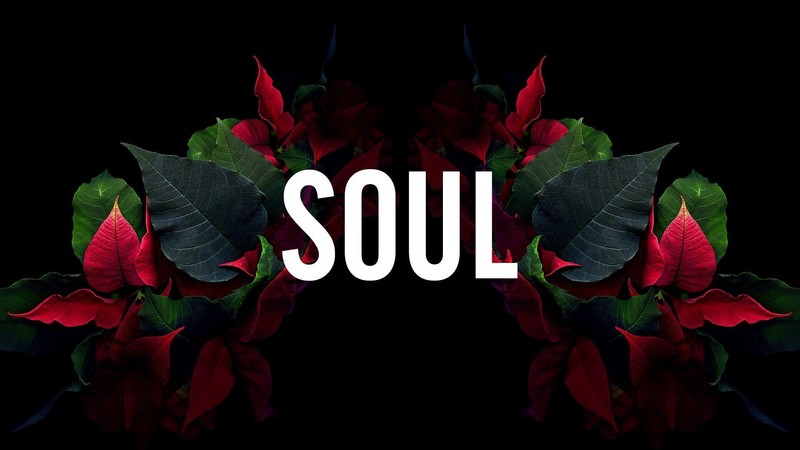 dark background, leaves, typography, plants