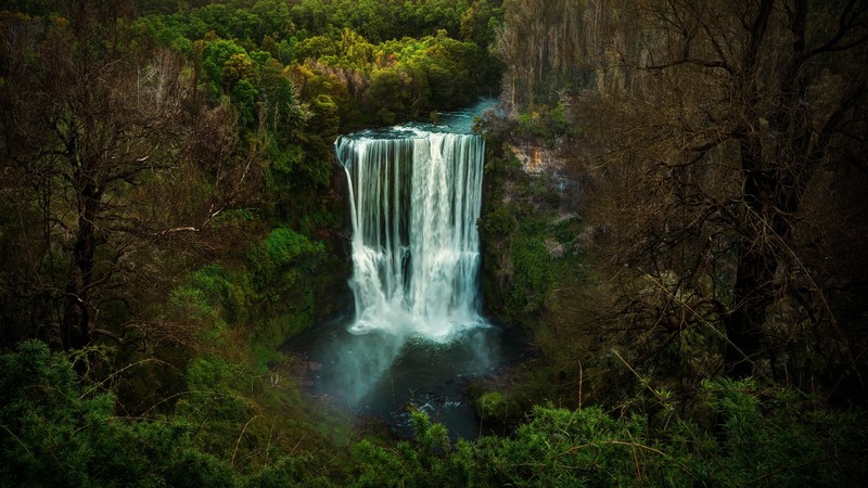 nature, forest, waterfall, landscape, river