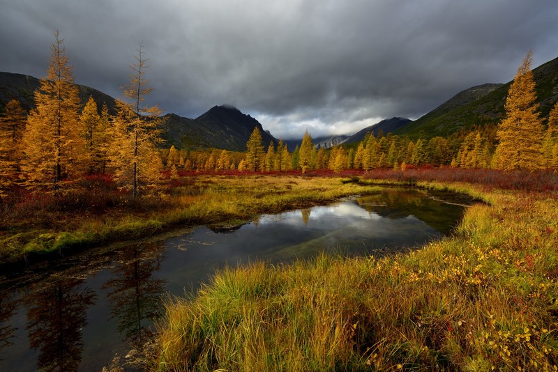 landscape, mountains, clouds, trees, fall, grass, water, stream, reflection, outdoors, river, overcast, Maxim Evdokimov, Russia