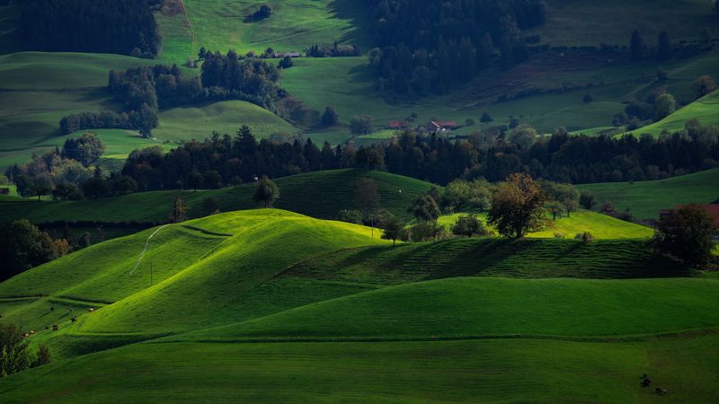 valley, green, field, hirzel, switzerland, 4k
