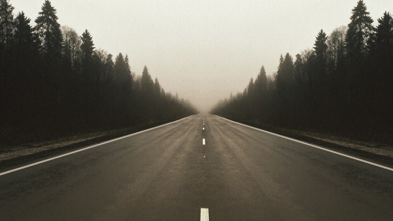 road, forest, fall, mist, asphalt, trees, landscape, highway, perspective, noise