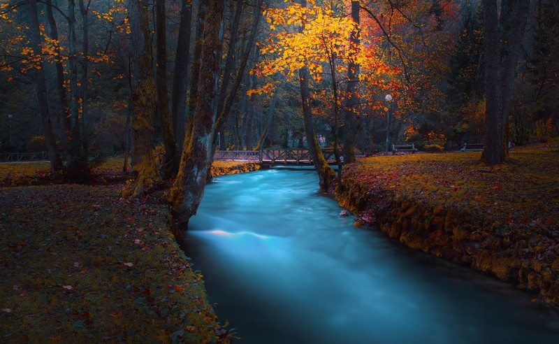 park, dark, fall, trees, long exposure, landscape, river, stream, bridge, forest